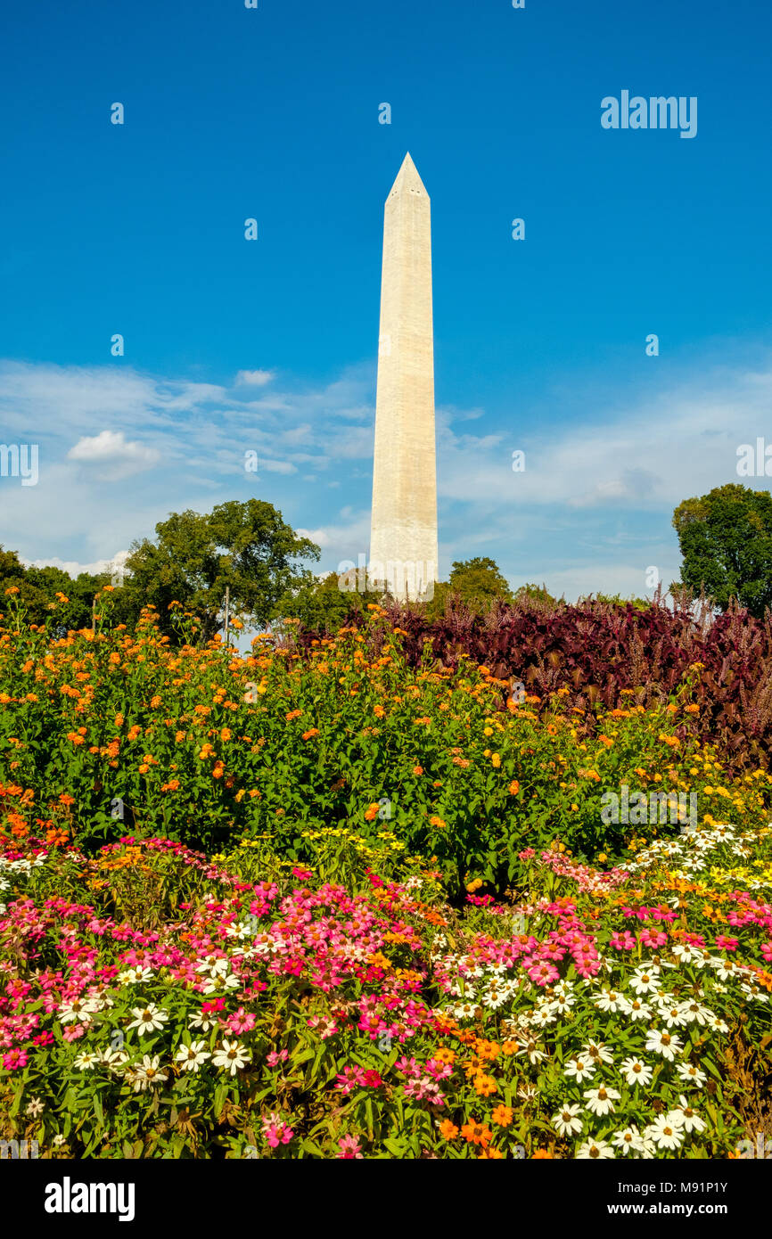 Washington Monument von West Potomac Park, National Mall in Washington DC Stockfoto