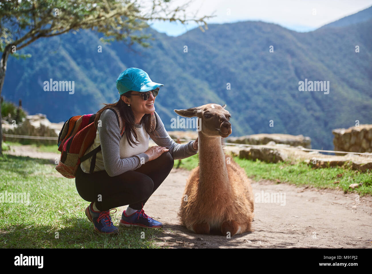 Mädchen traveller Interagieren mit Lama Tier an einem sonnigen Tag leuchtet in Peru Machu Picchu Stockfoto