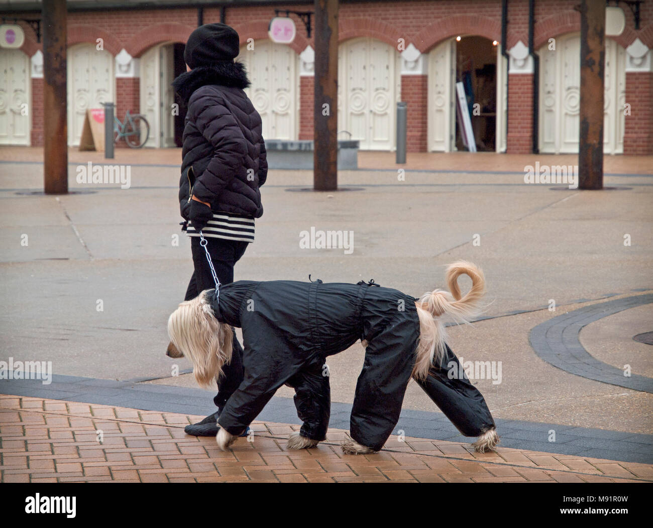 An einem regnerischen Tag in Brighton ein Hund trägt ein wasserdichtes Outfit Stockfoto