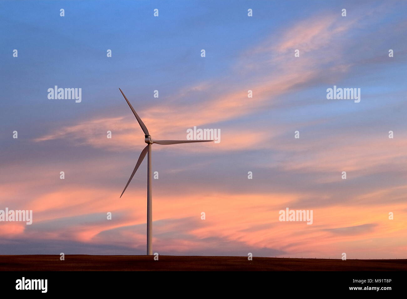 Windmill Farm entlang der östlichen Ebenen, Colorado auf Sonnenuntergang Stockfoto