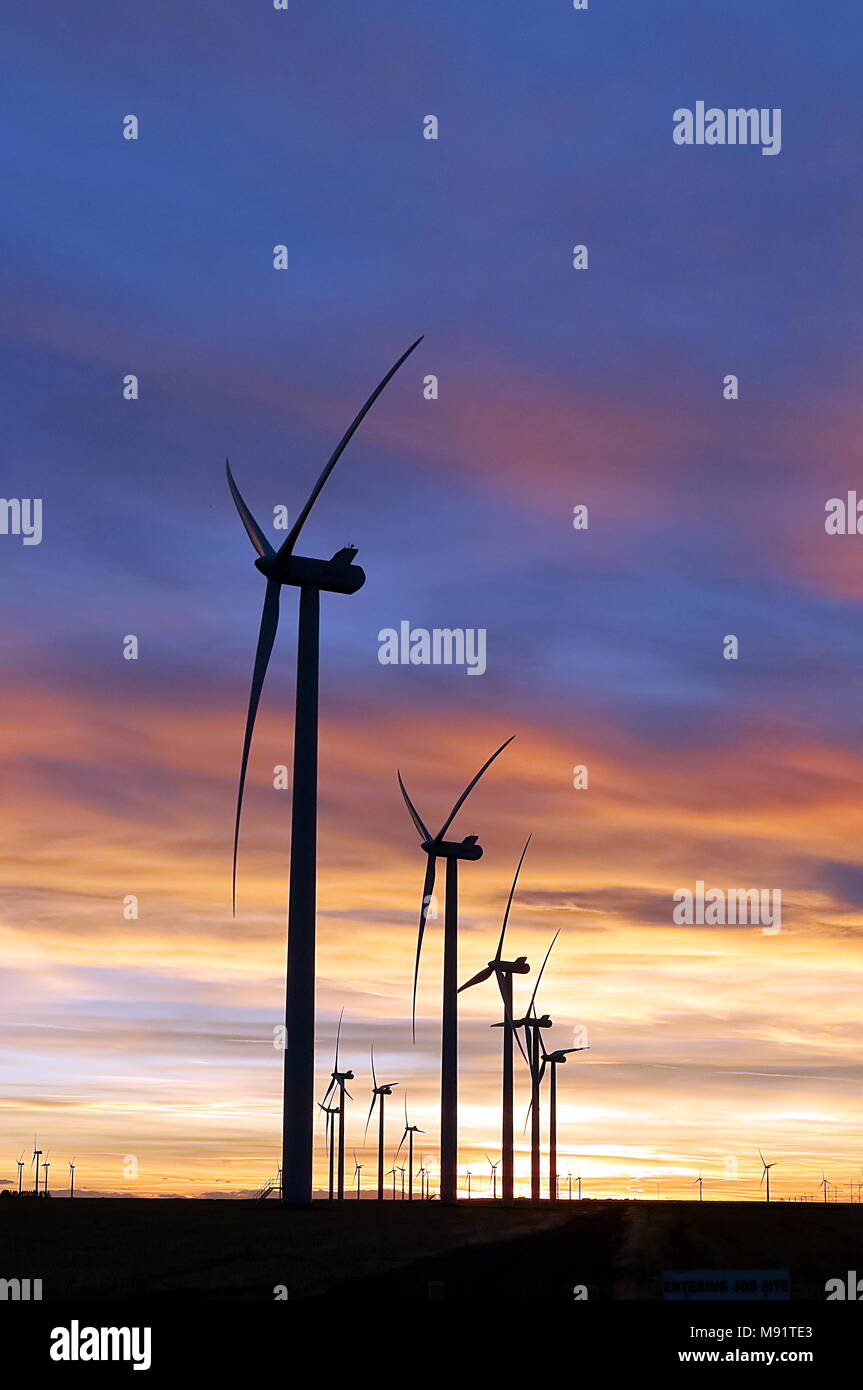 Windmill Farm entlang der östlichen Ebenen, Colorado auf Sonnenuntergang Stockfoto