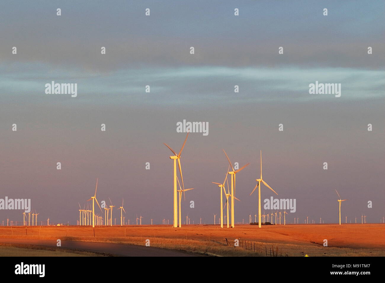 Windmill Farm entlang der östlichen Ebenen, Colorado auf Sonnenuntergang Stockfoto