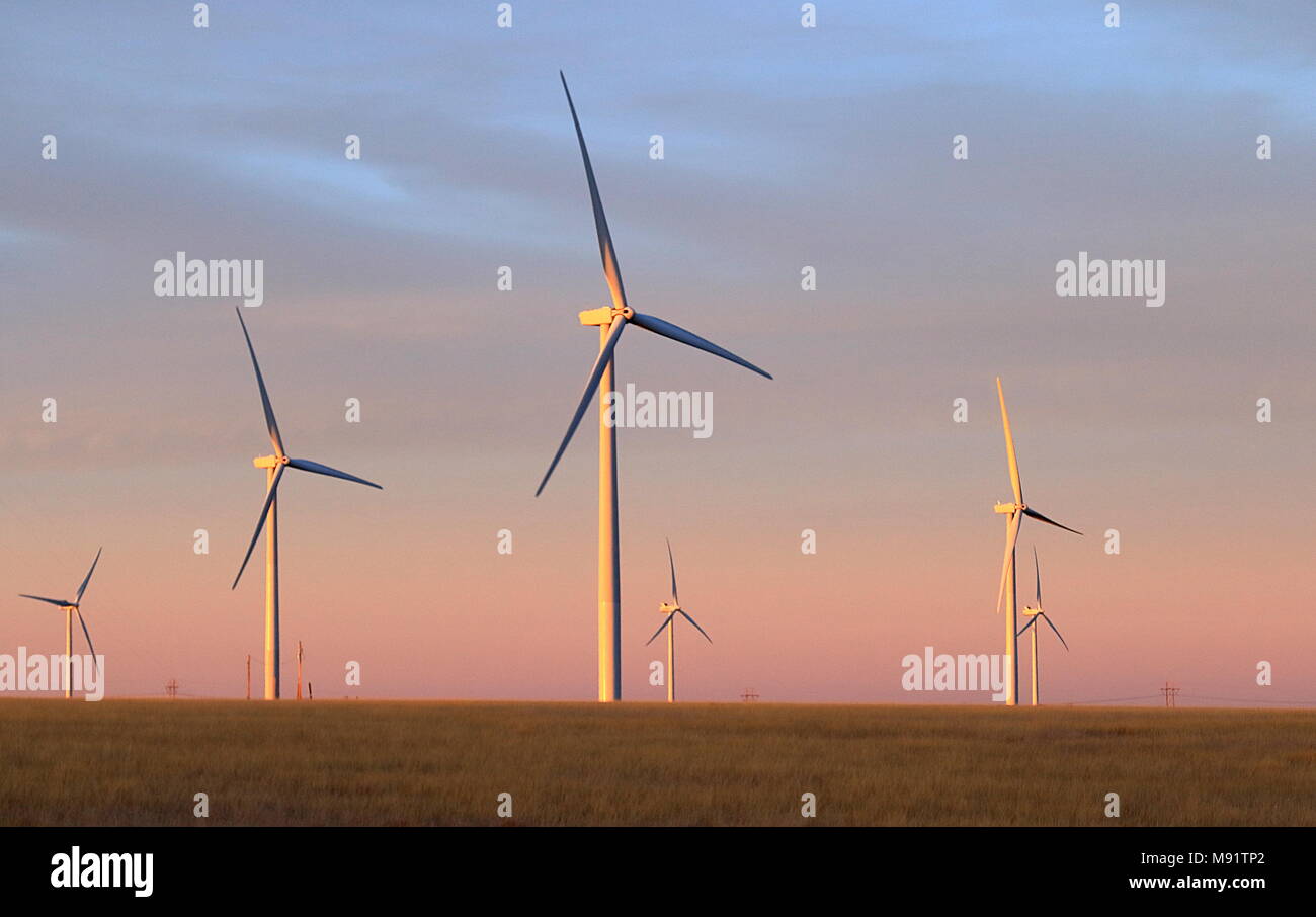 Windmill Farm entlang der östlichen Ebenen, Colorado auf Sonnenuntergang Stockfoto