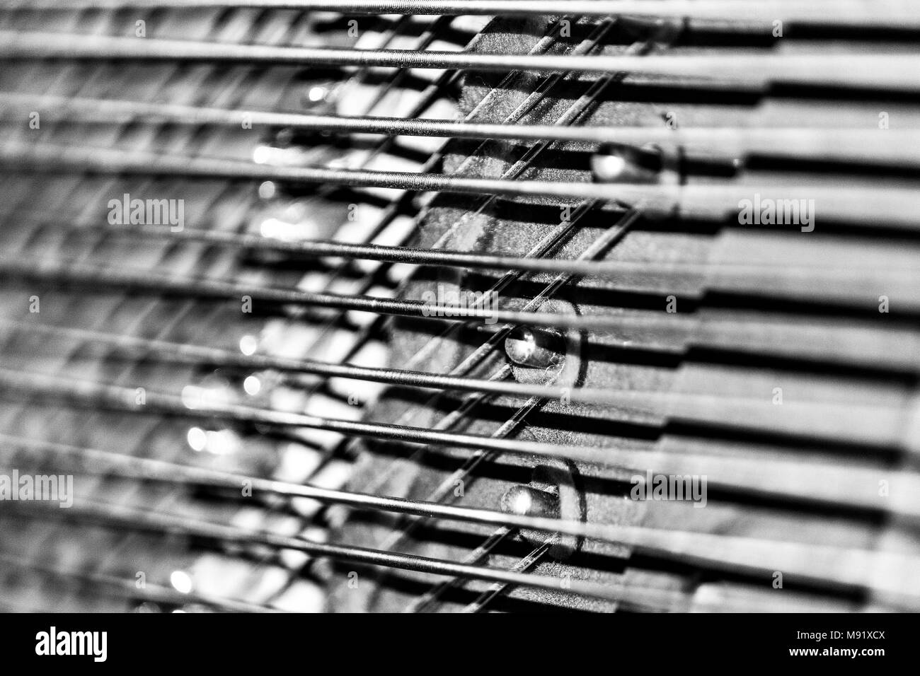 Schwarze und weiße Flügel Stockfoto