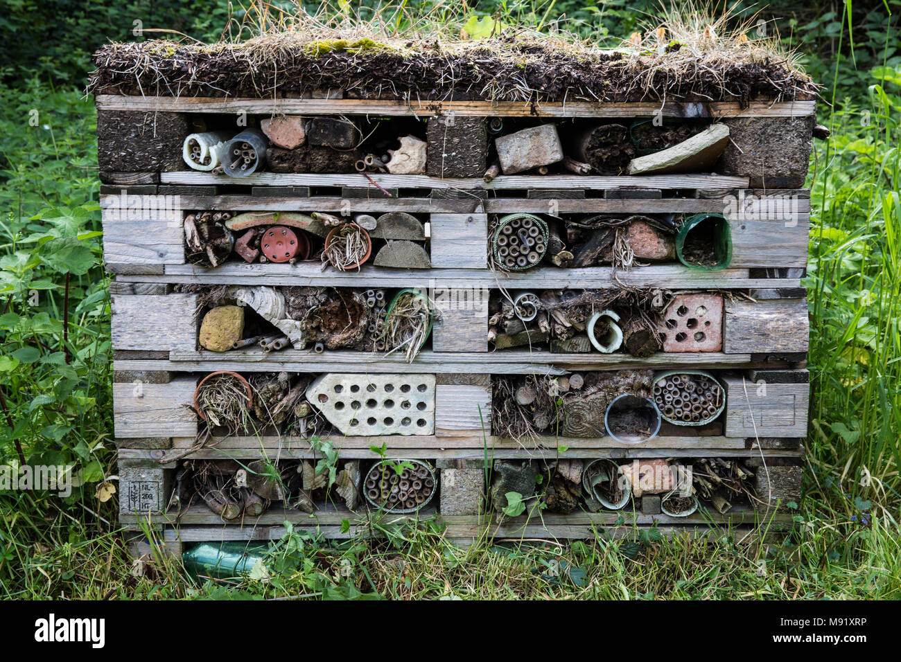 Rainham, UK. 19 Mai, 2017. Ein 'wirbellosen Palace' in Rainham Marshes. Rainham Marshes ist ein Bereich der mittelalterlichen Moor auf die Mündung der Themse manag Stockfoto