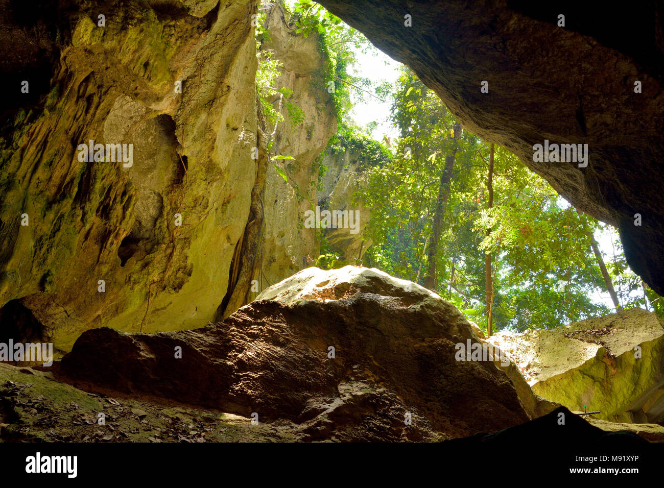 Höhlen, Queensland, Australien - 27. Dezember 2017. Blick aus Steinbock Höhlen in den Höhlen Gemeinde nördlich von Rockhampton, Queensland, mit Vegetation. Stockfoto
