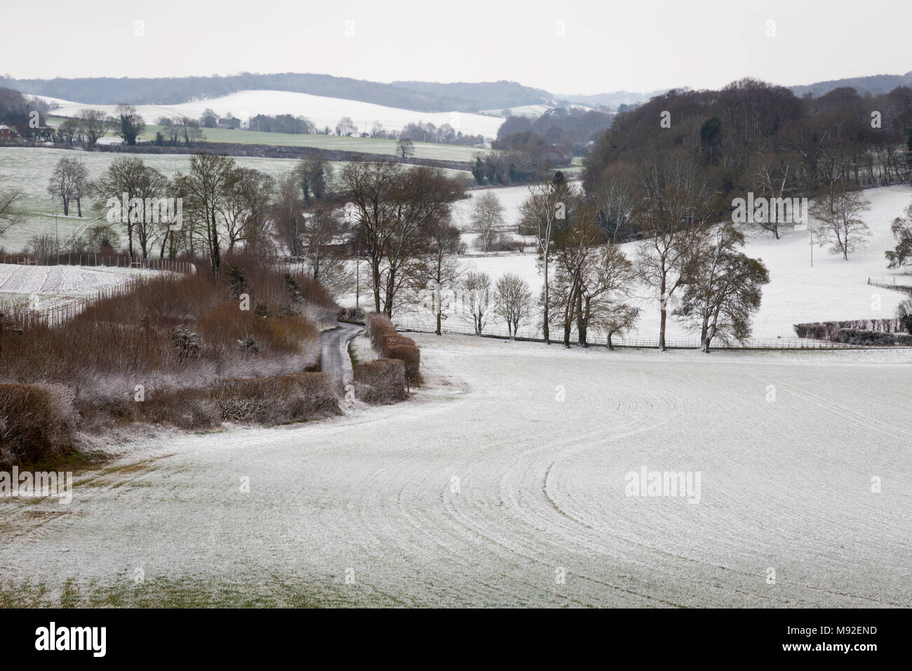 Schnee auf chartham Downs, North Kent Downs, Canterbury, Kent, Großbritannien Stockfoto