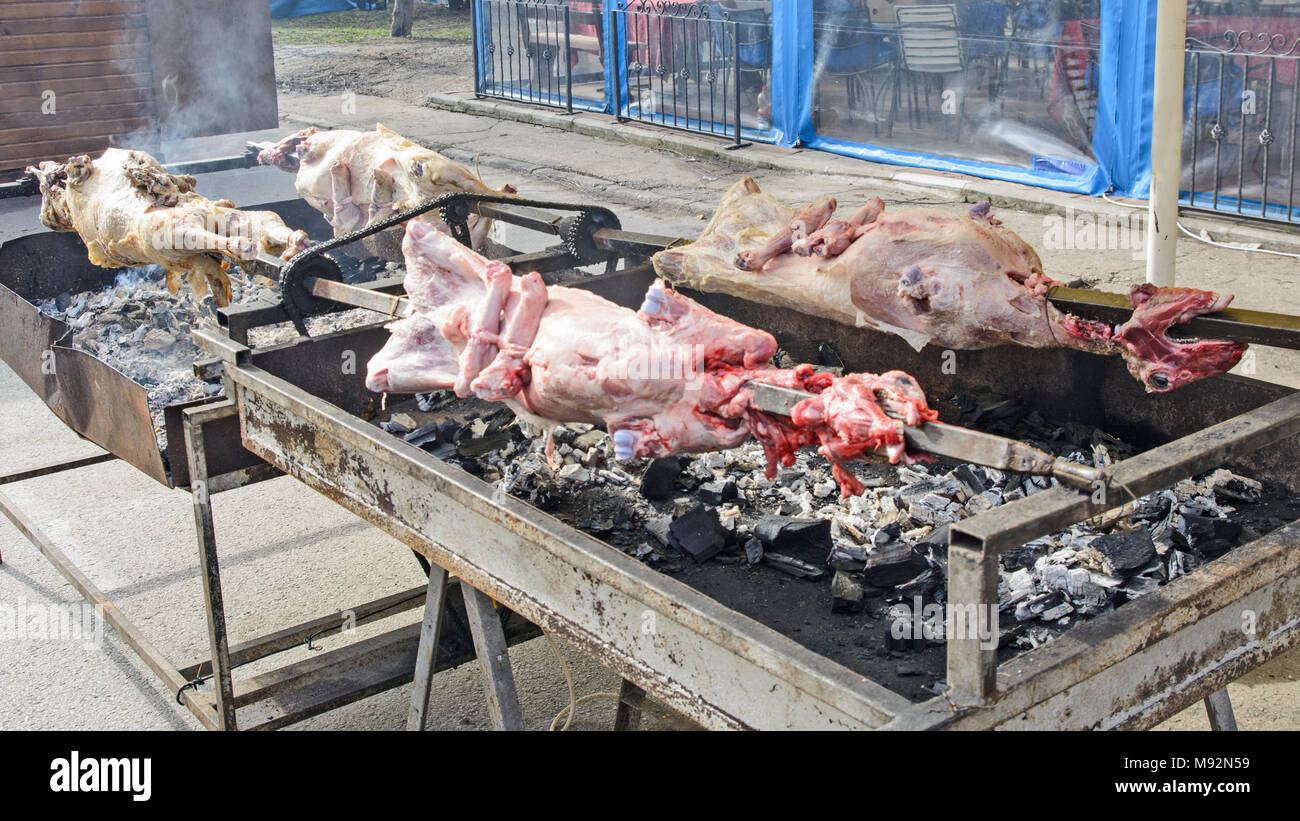 Schafe gebraten in Serbien am Spieß auf traditionelle Weise. Stockfoto