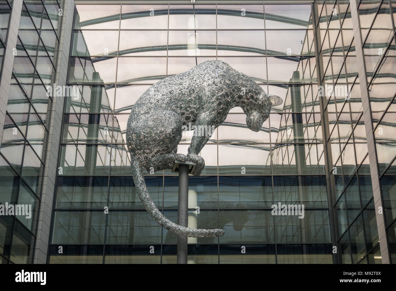 Balanciert - Metall leopard Skulptur an der neuen Marischal Square Entwicklung, Aberdeen, Schottland, Großbritannien Stockfoto