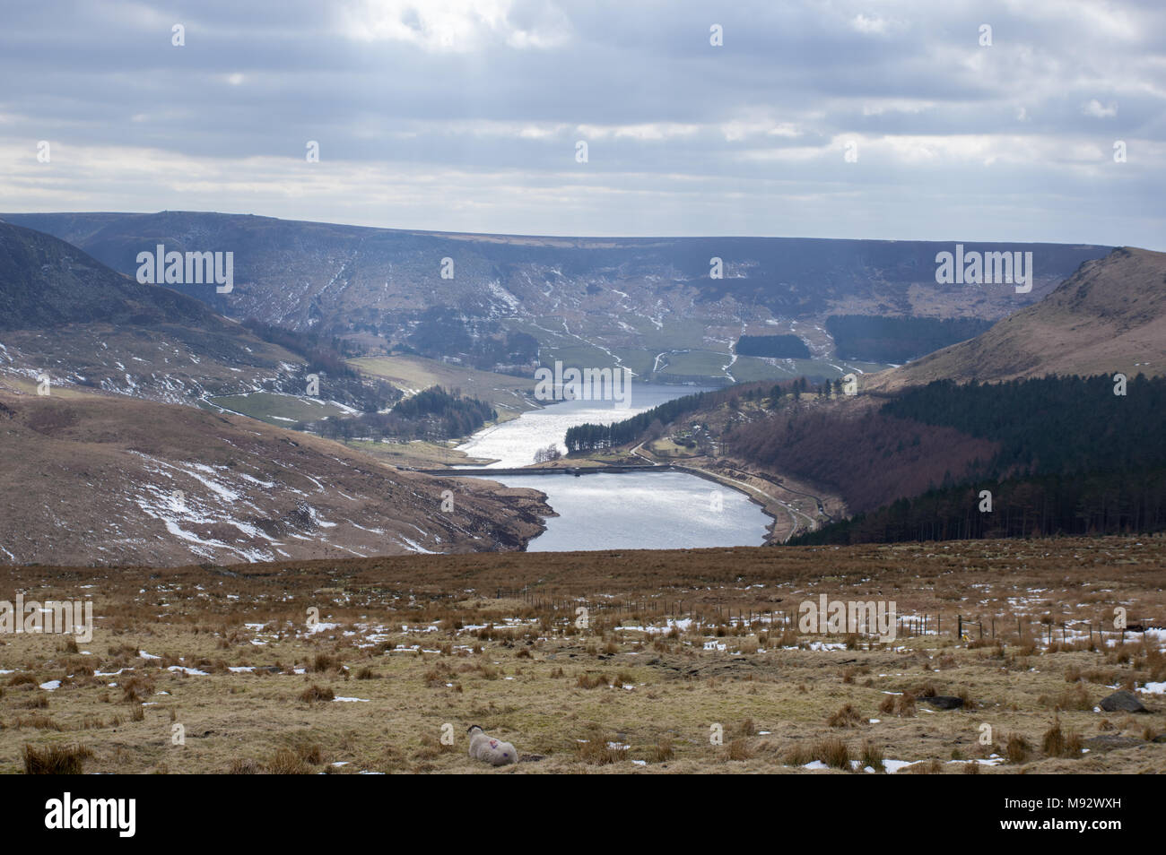 Dovestone Reservoir, Peak District National Park, South Pennines, England Stockfoto