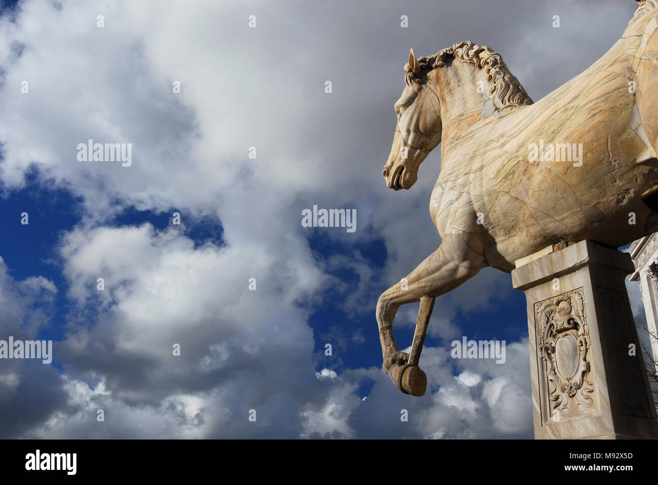 Antike römische Marmorstatue eines Pferdes oben auf dem Kapitol in Rom, datiert aus dem 1. Jahrhundert v. Chr. (mit Wolken und Kopieren) Stockfoto