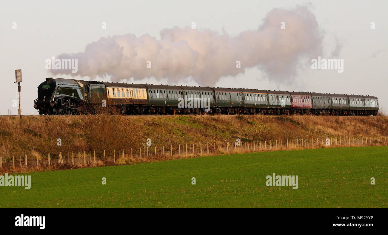 Die Cathedals Express-Eisenbahntour wurde am 5.. Dezember 2009 von der Klasse A4 Pacific No 60019 'Bittern' an Longcot, Oxfordshire, vorbeigeführt. Stockfoto