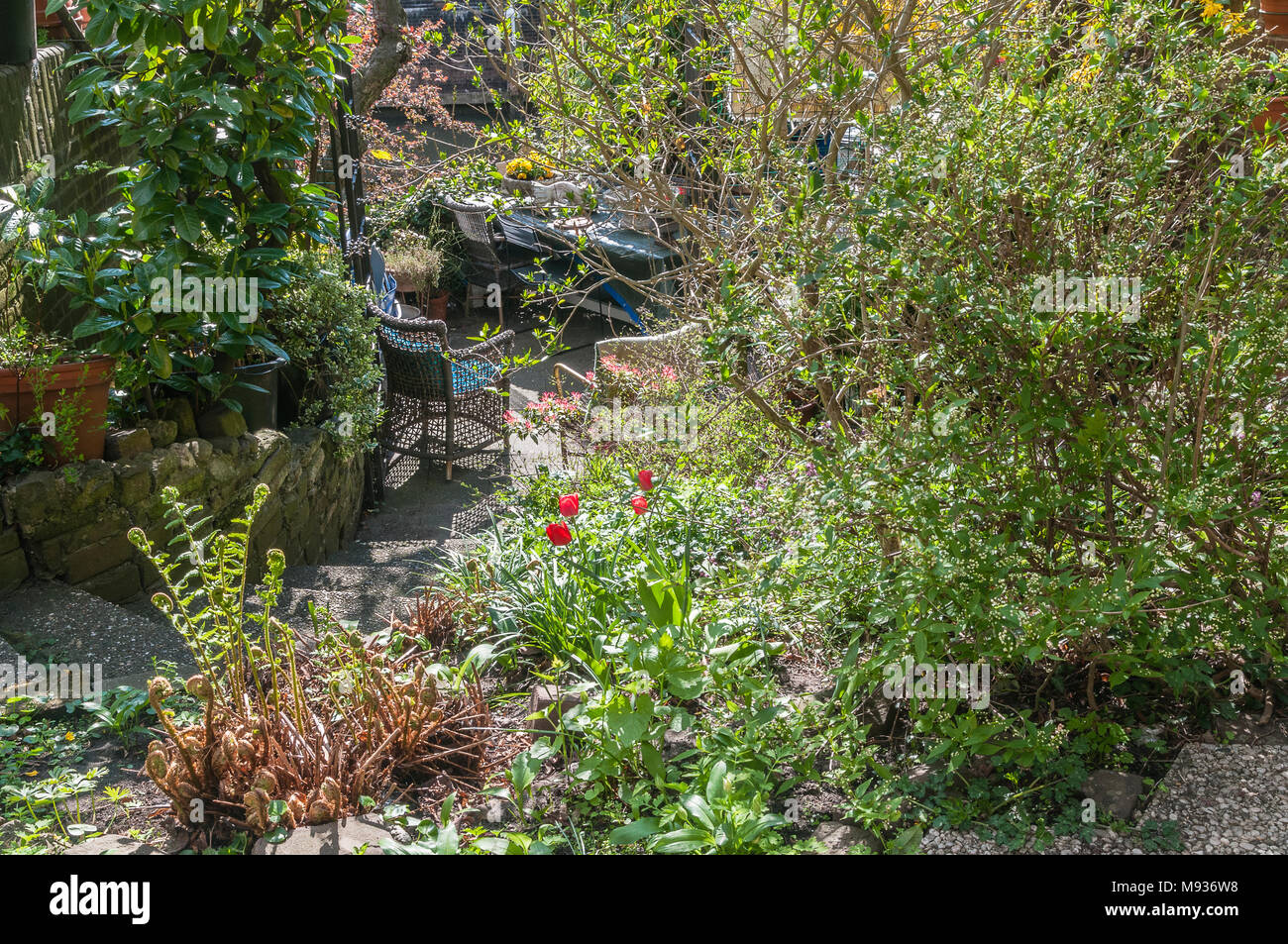 Ein Hinterhof von schönen Sträucher, Bäume und Blüten mit einem Garten in der Mitte umgeben Stockfoto