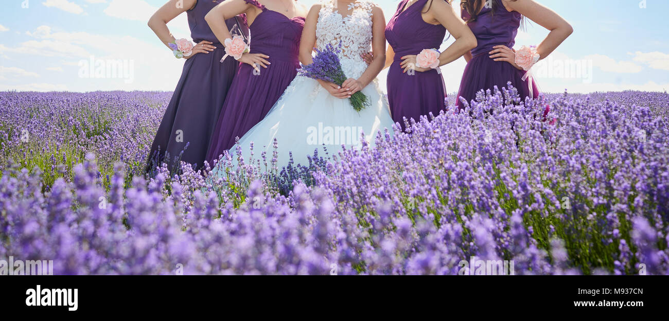 Die Freundinnen der Braut Braut und im Bereich der Lavendel Stockfoto