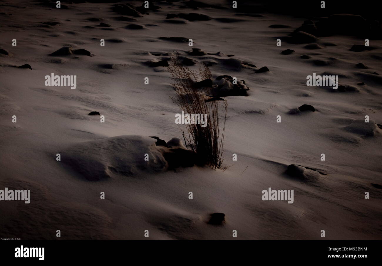 Alex El Barto Reise Fotografie für die Welt Stockfoto