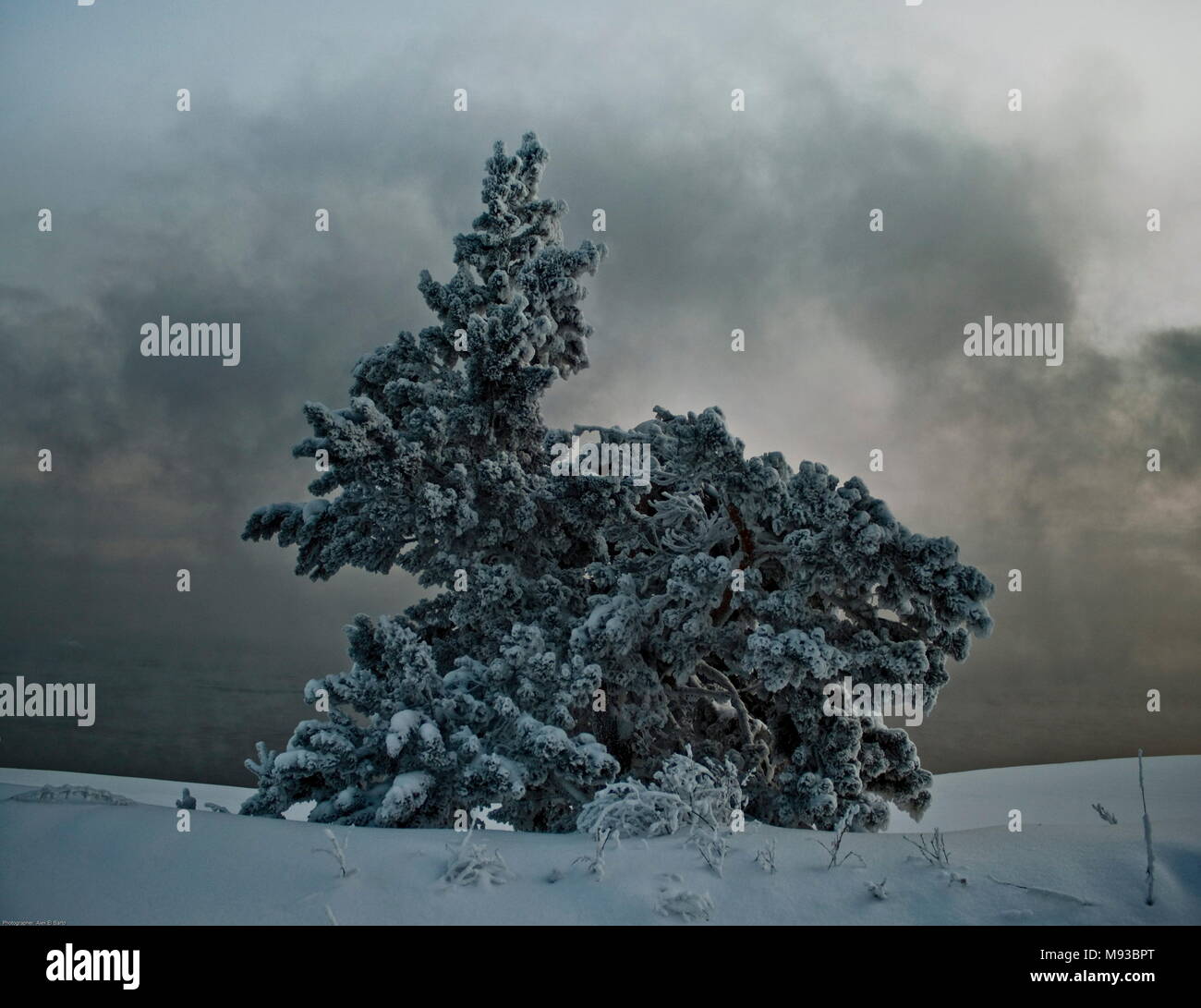 Alex El Barto Reise Fotografie für die Welt Stockfoto