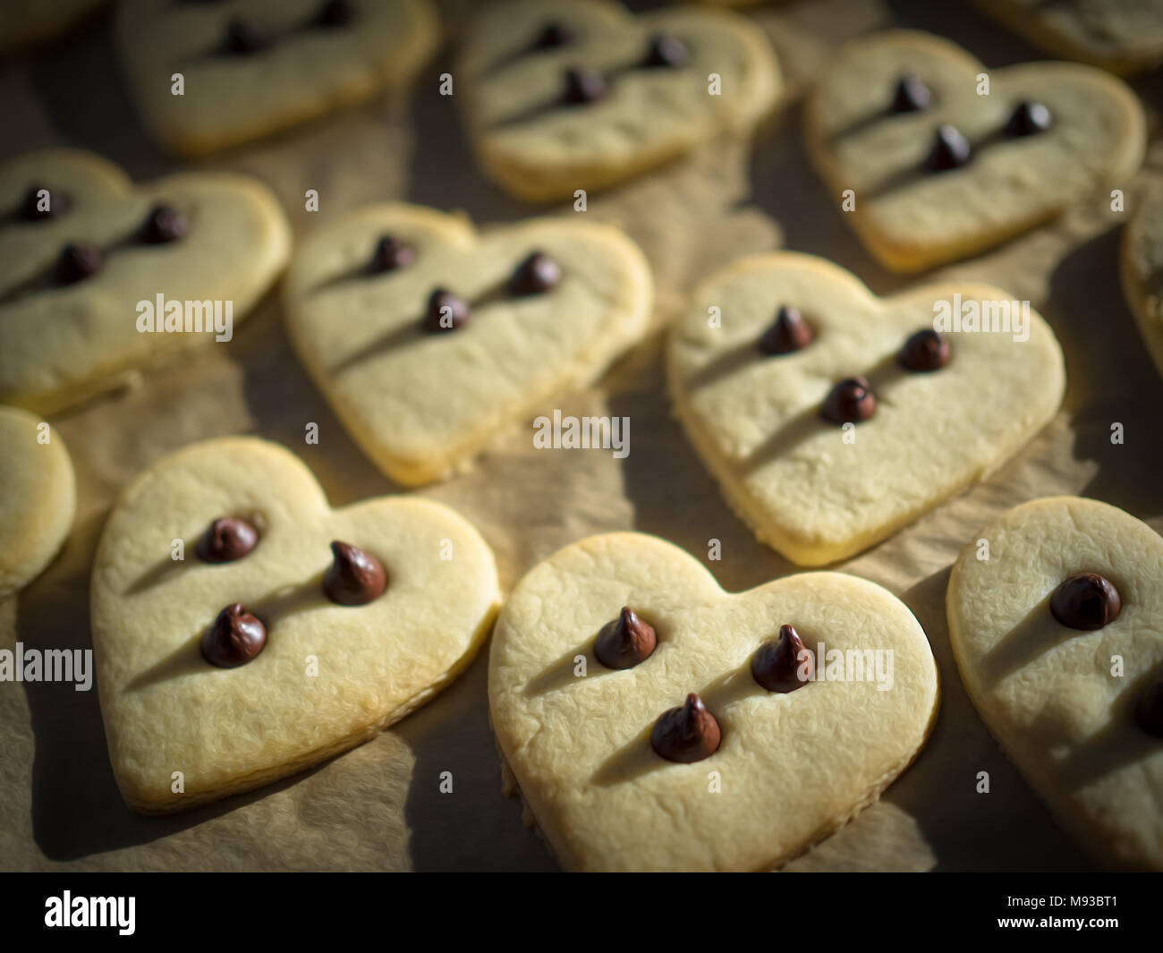 Gerade aus dem Ofen herzförmige Sugar Cookies mit Schokoladenstückchen auf ein Backblech angeordnet. Stockfoto