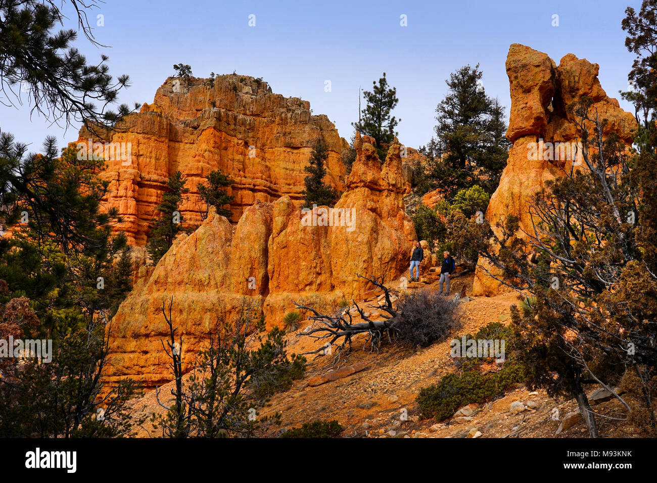 Touristen wandern Red Rock Canyon, Utah, Amerika Stockfoto