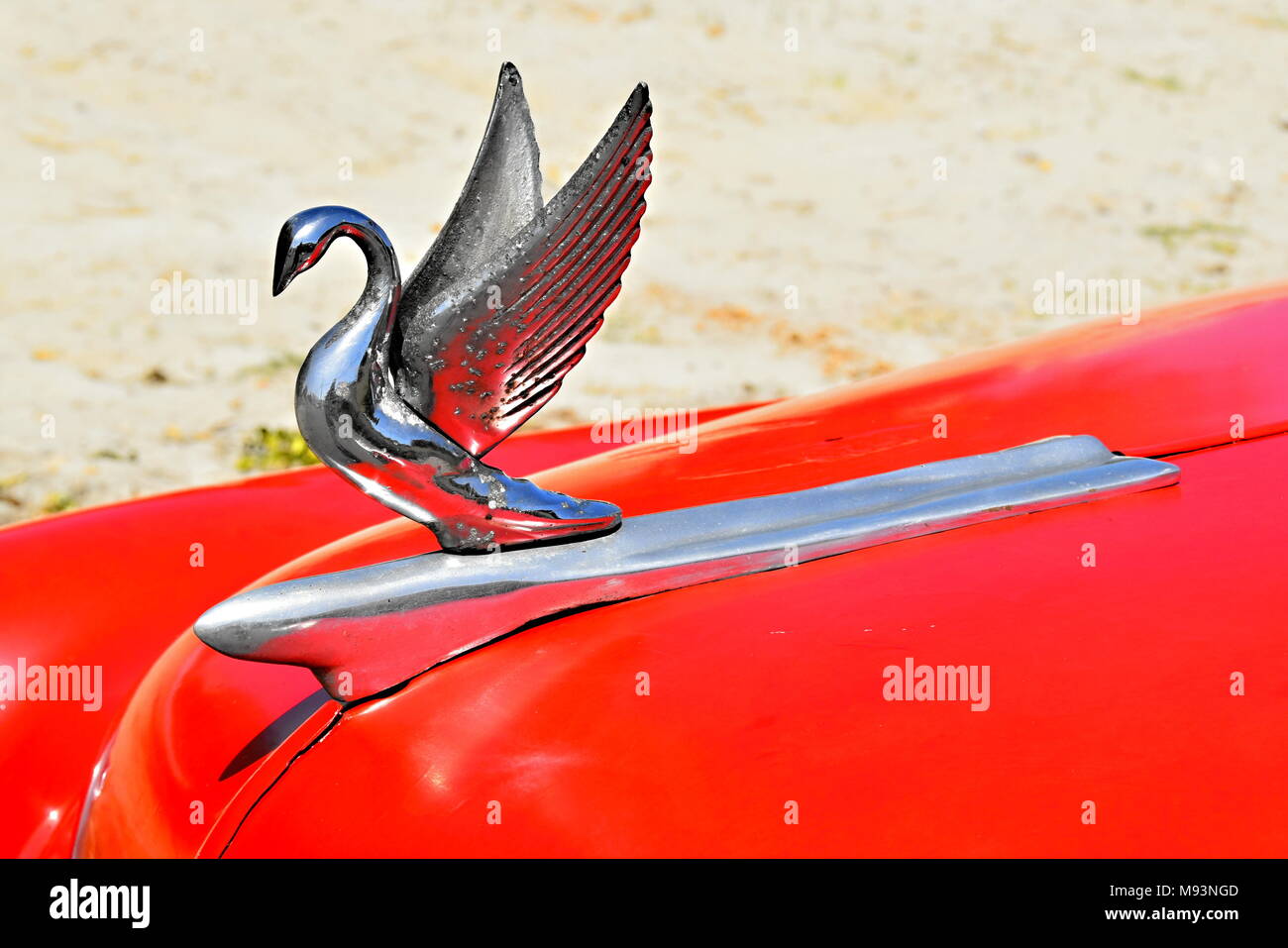 Oldtimer Motorhaube, Varadero, Kuba Stockfoto