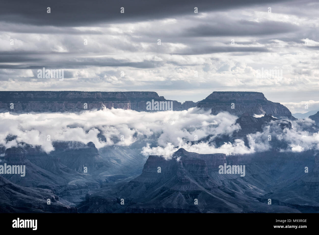 Morgen Wolken, Yavapai Point, Grand Canyon NP, AZ, USA, Mitte September, von Dominique Braud/Dembinsky Foto Assoc Stockfoto