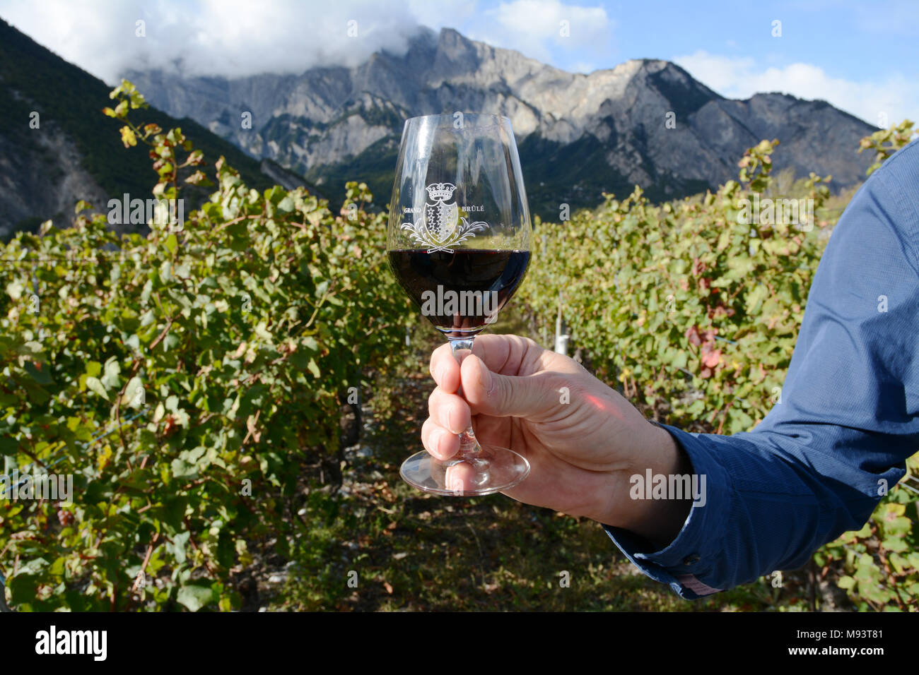 Ein Schweizer Winzer in einem Weinberg in der Nähe von Chamoson Holding ein Glas  Rotwein Cornalin, hergestellt aus Trauben in der Region Wallis in der  Schweiz gewachsen Stockfotografie - Alamy