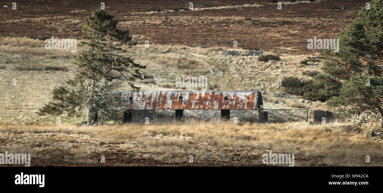 Abgebrochene Croft von Ostern Crannich auf Dava Moor in Schottland. Stockfoto