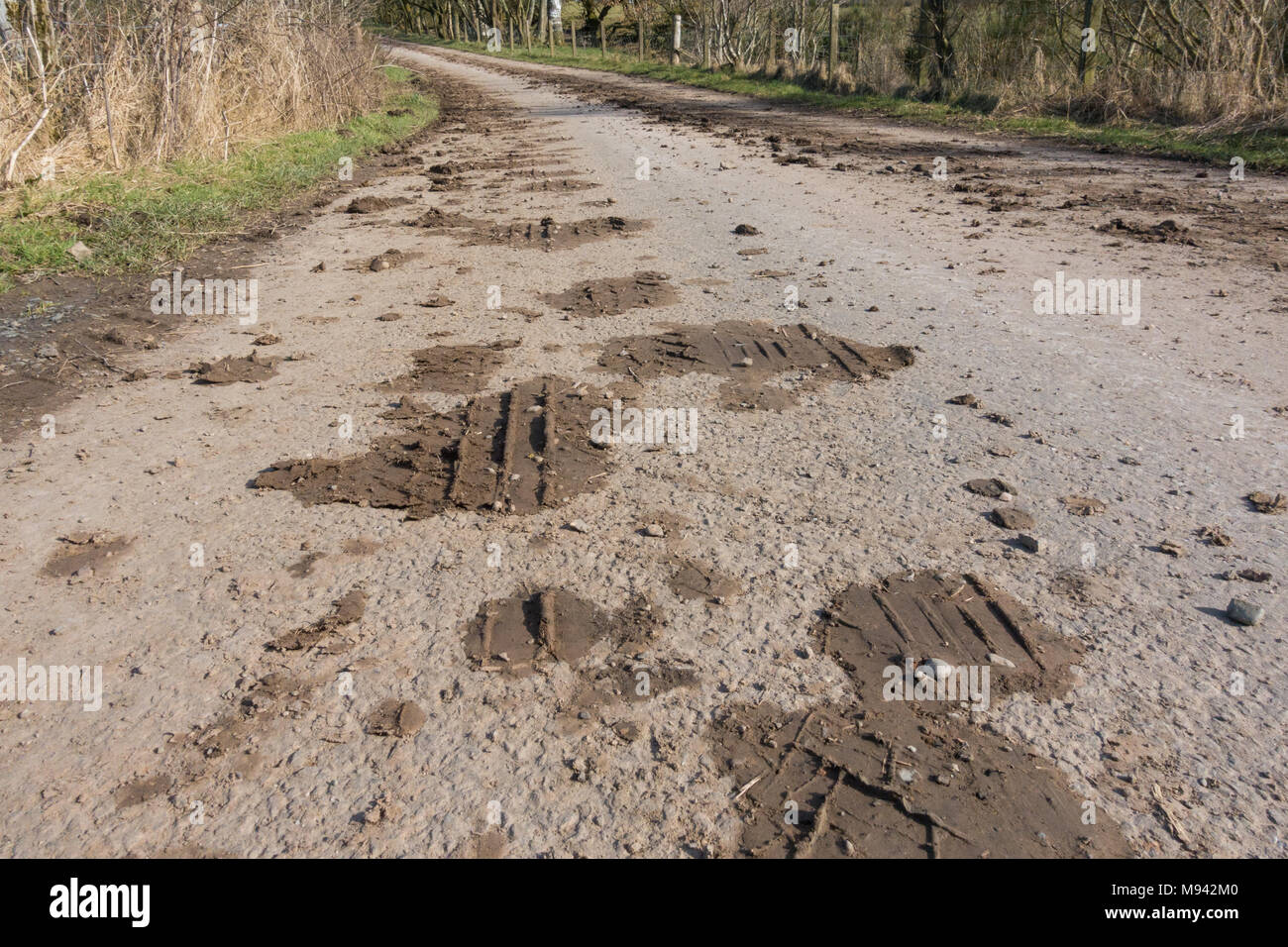 Schlamm auf ländlichen Landstraße - Großbritannien Stockfoto