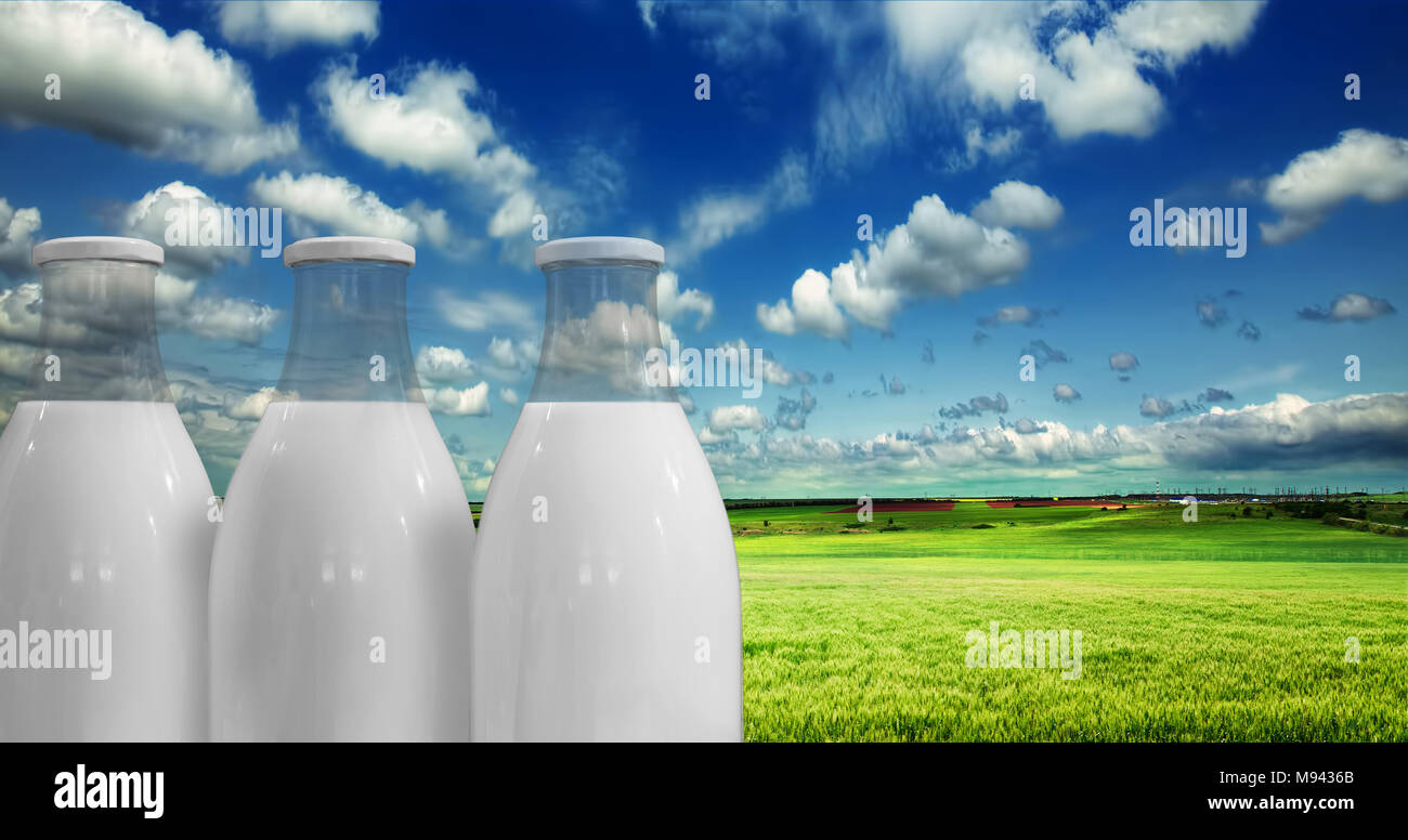 Milch in Flaschen vor dem Hintergrund der Sommerwiese und Sky Stockfoto