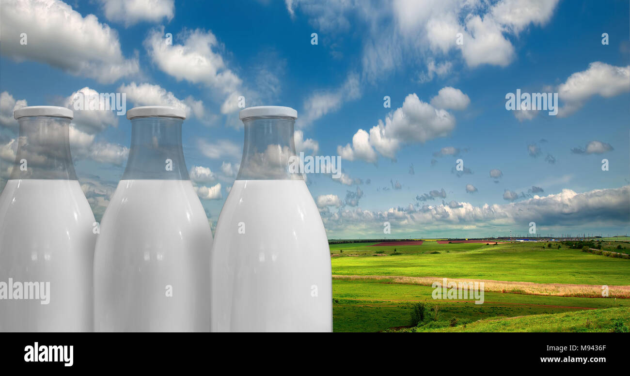 Milch in Flaschen vor dem Hintergrund der Sommerwiese und Sky Stockfoto