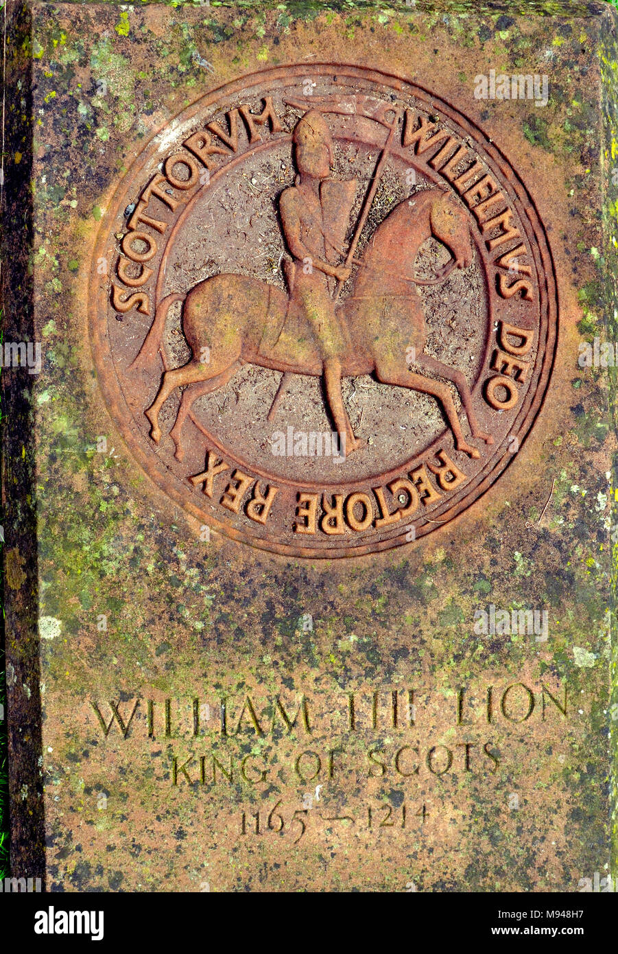 Grabstein von William der Löwe, der König der Schotten in der Begründung der Arbroath Abbey, Angus, Schottland Stockfoto