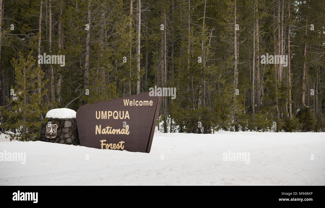 Frischer Schnee, die Grenzmarkierungen Zeichen eingeben Umpqua National Forest Oregon Stockfoto