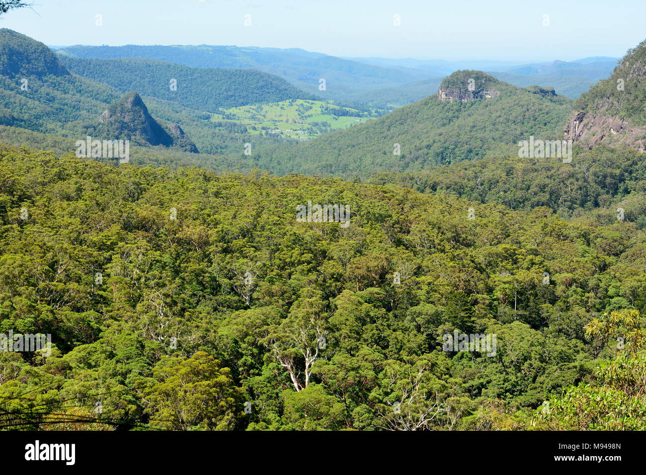 Blick vom Aussichtspunkt in Yangahla Lamington National Park, Queensland, Australien. Stockfoto