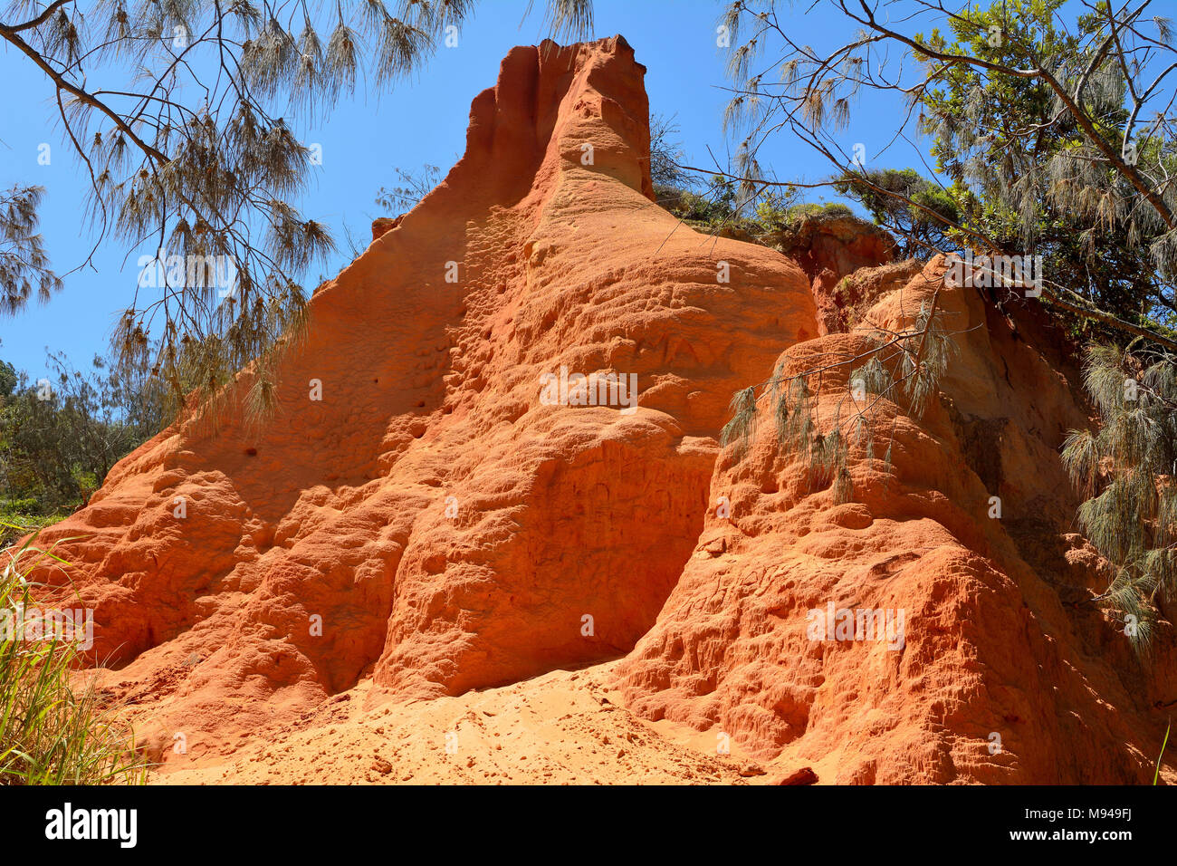 Sandy pinnacle Bildung von Red Canyon in der Great Sandy National Park in Queensland, Australien. Stockfoto