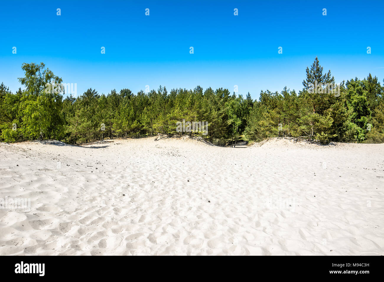 Schönen Dünen auf dem Sand Strand und Pinienwald im sommer urlaub, reise Konzept Stockfoto
