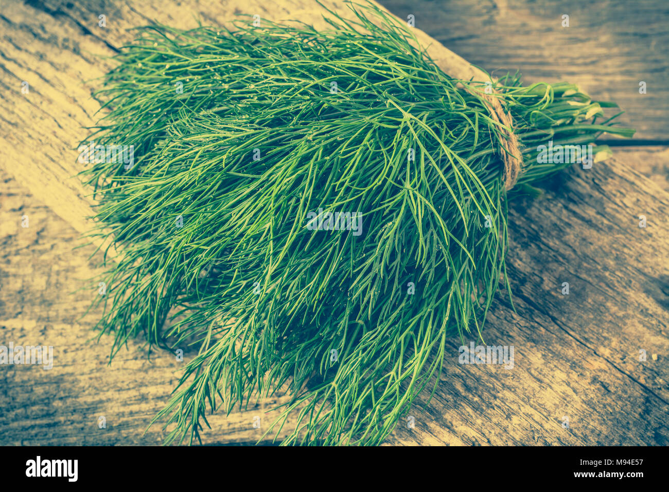 Frischer Dill, grüne Kräuter, gesunde Würze Zutaten zum Kochen Stockfoto