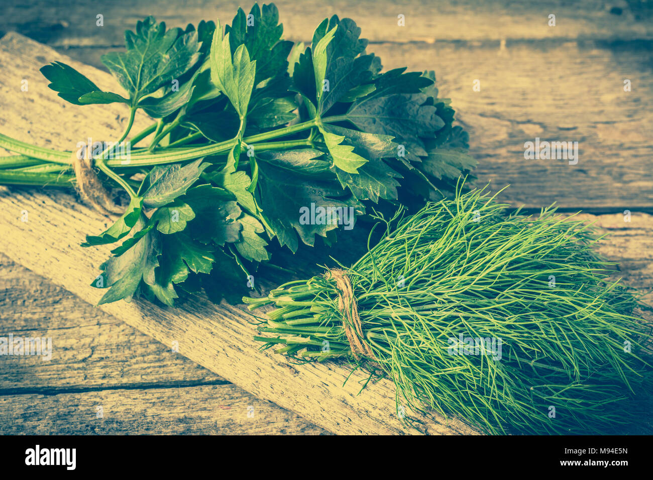 Frische Kräuter, Dill und sellerieblätter Gewürz Zutaten, das Konzept der gesunden Küche, vegetarische Küche Stockfoto