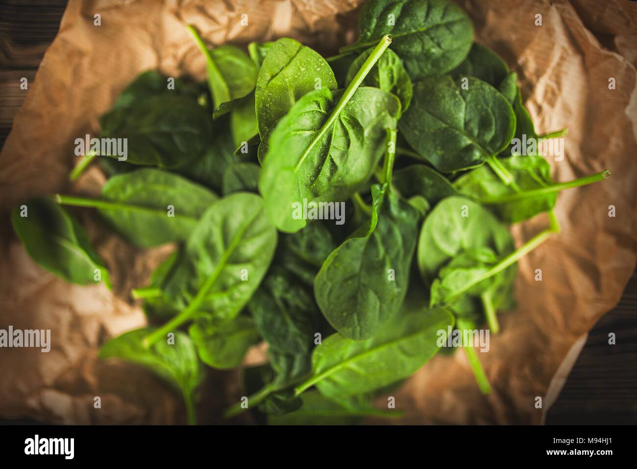 Baby-Blattspinat Stockfoto