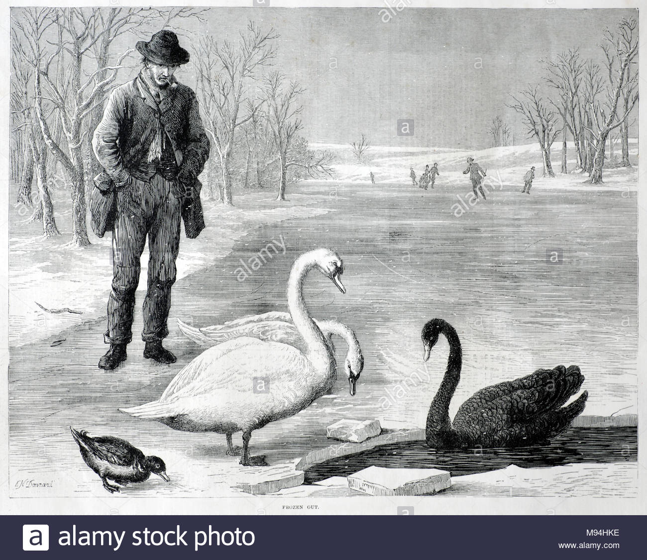 Zierteiche von London Parks gefroren aufgrund der harten Frost in der ersten Woche von Dezember 1879, antike Gravur von 1879 Stockfoto