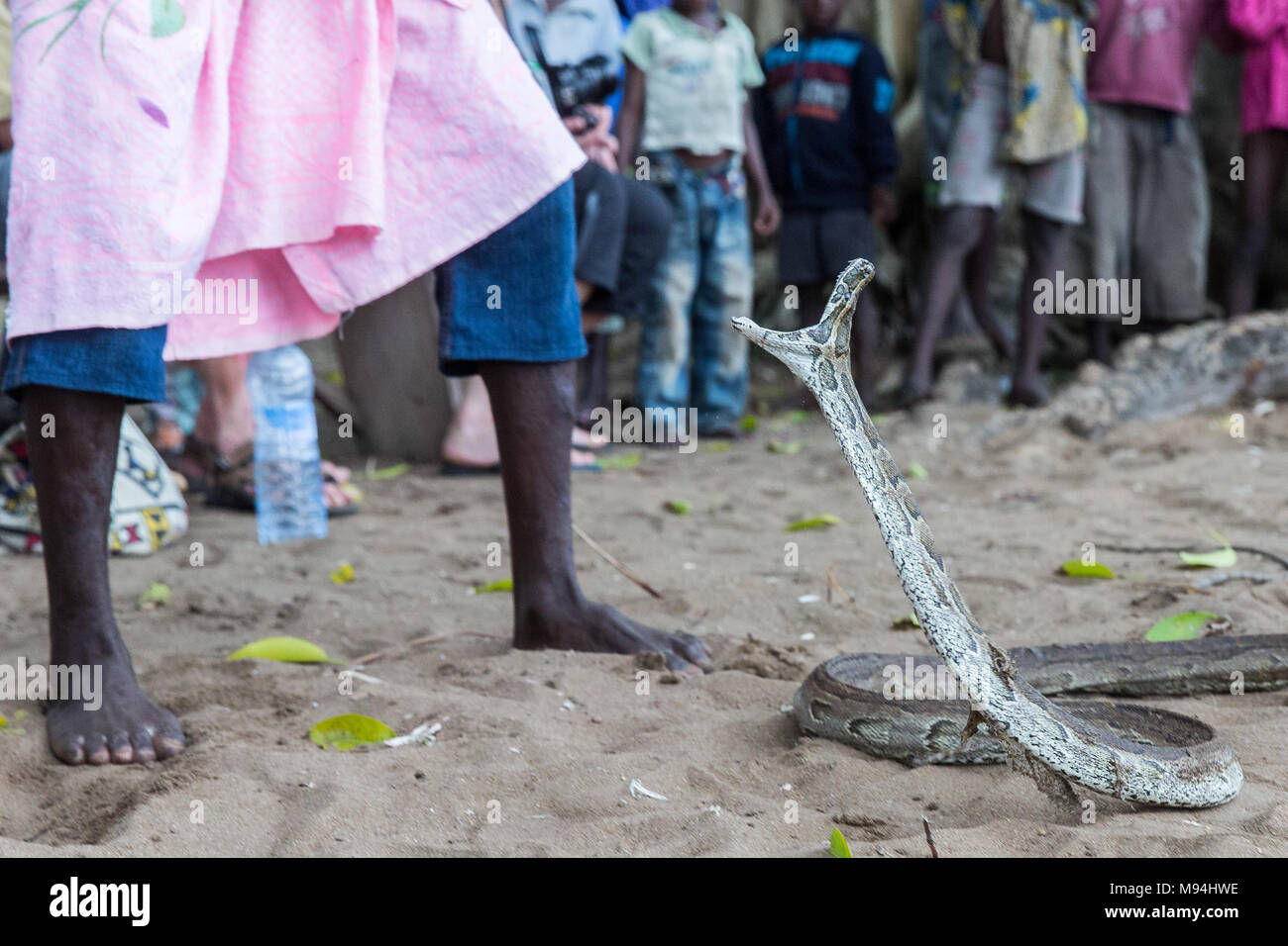 Die Bewohner eines kleinen Dorfes in der Nähe von Ouidah, Benin, im Süden an einem traditionellen voodoo Zeremonie nehmen. September 2017. Stockfoto