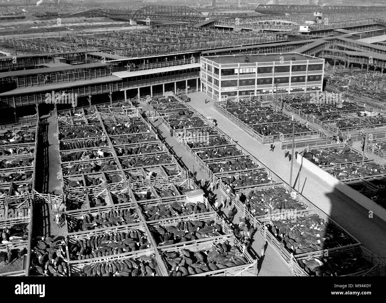 Die stockyards in Kansas City, Missouri, Ca. 1943. Stockfoto