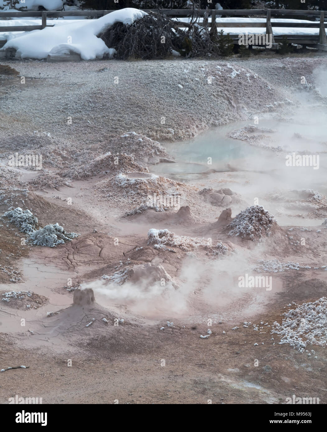 Warmer Dampf interagiert mit der kalten Luft am Schlamm Geysir im Yellowstone National Park zu beschichten, alles mit Frost. Stockfoto