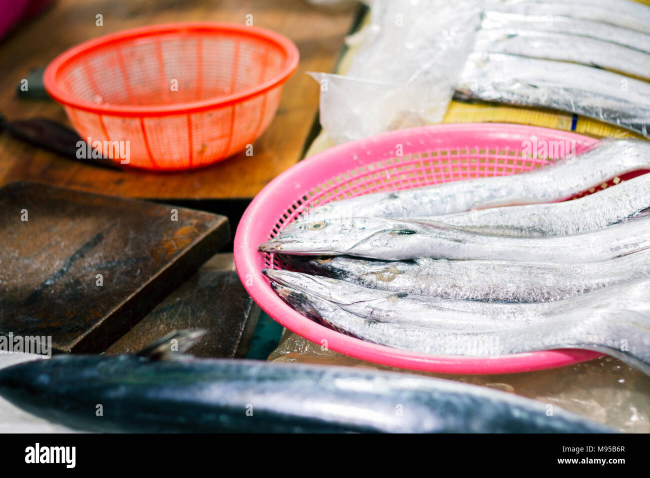 Cutlassfish Hairtail, in der Koreanischen Fischmarkt Stockfoto