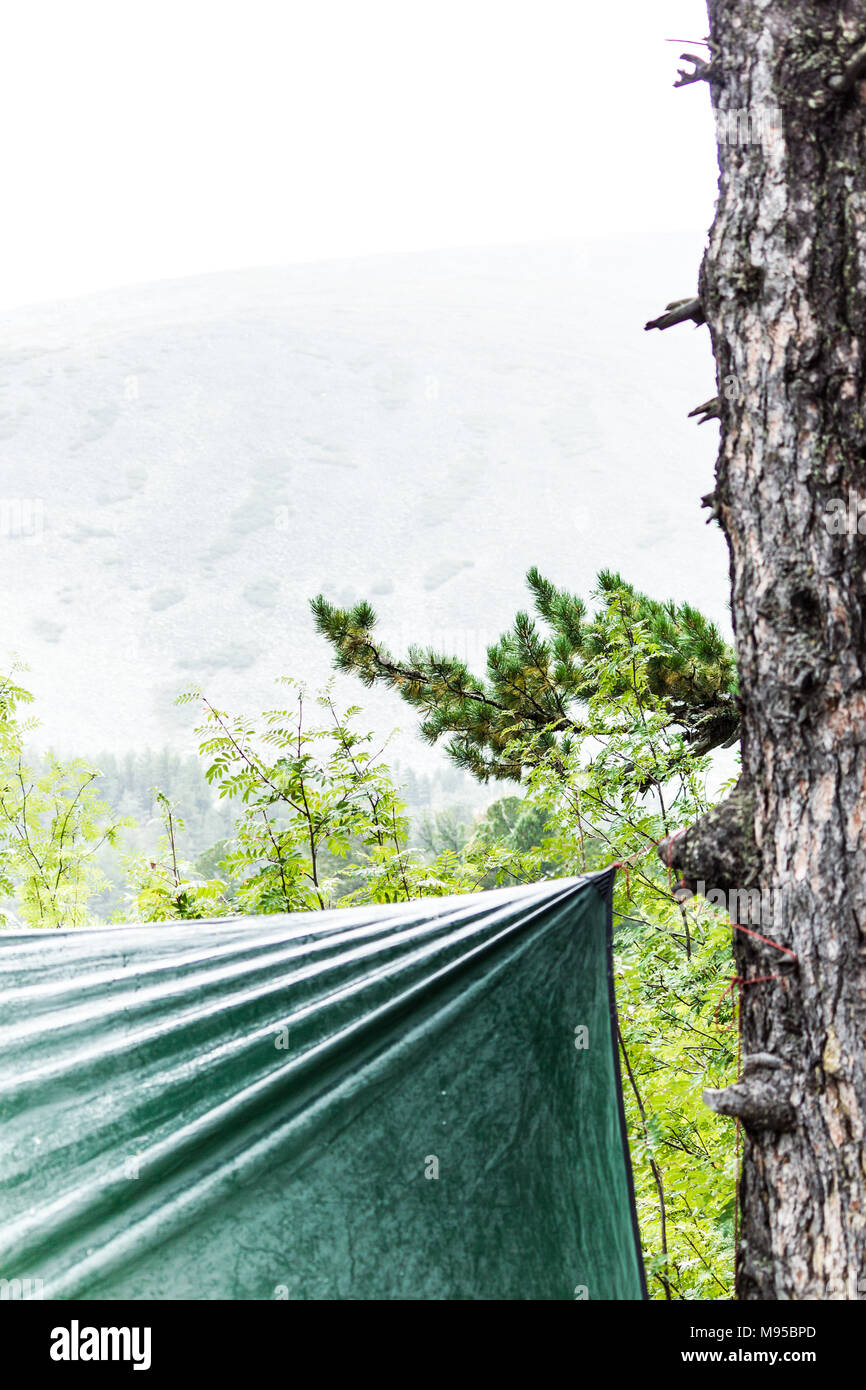 Nassen Zelt grün Zelte in einem Kiefernwald in der Regen Stockfoto