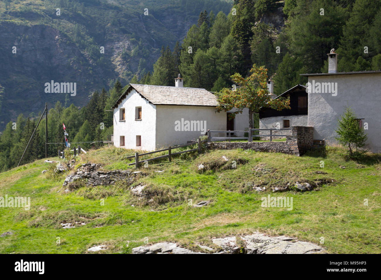 Berninabahn links St. Moritz, Schweiz, mit der Stadt von Tirano, Italien, über den Bernina Pass Stockfoto