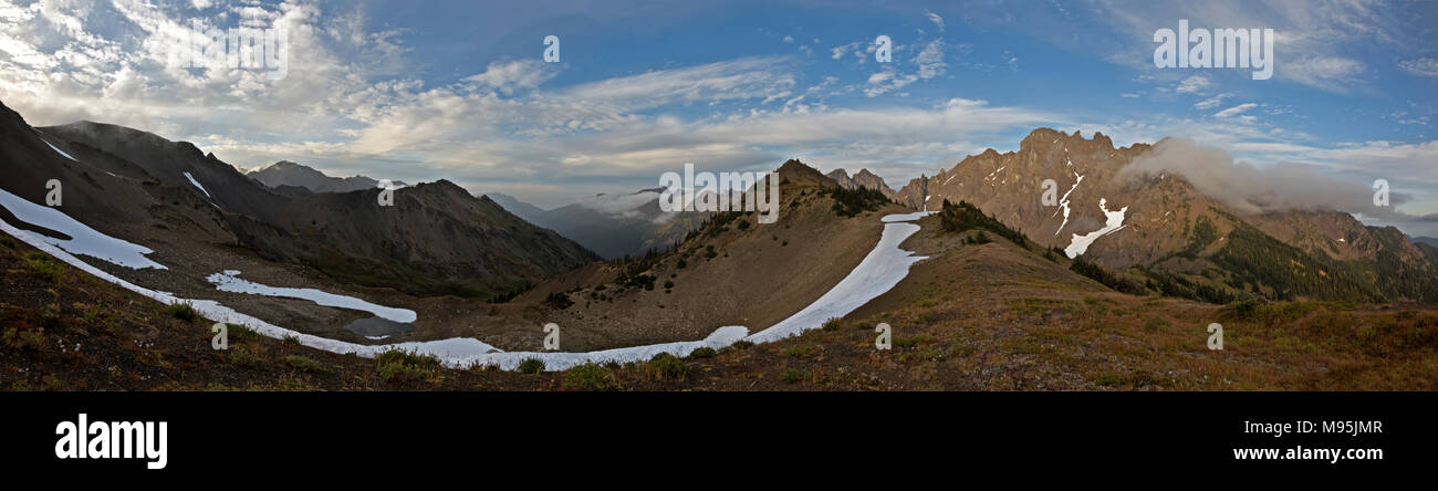 WA 13905-00 ... WASHINGTON - Panoramablick auf Trail durch alpine Wiese über dem Bodensee Pass in Olympic National Park. Stockfoto