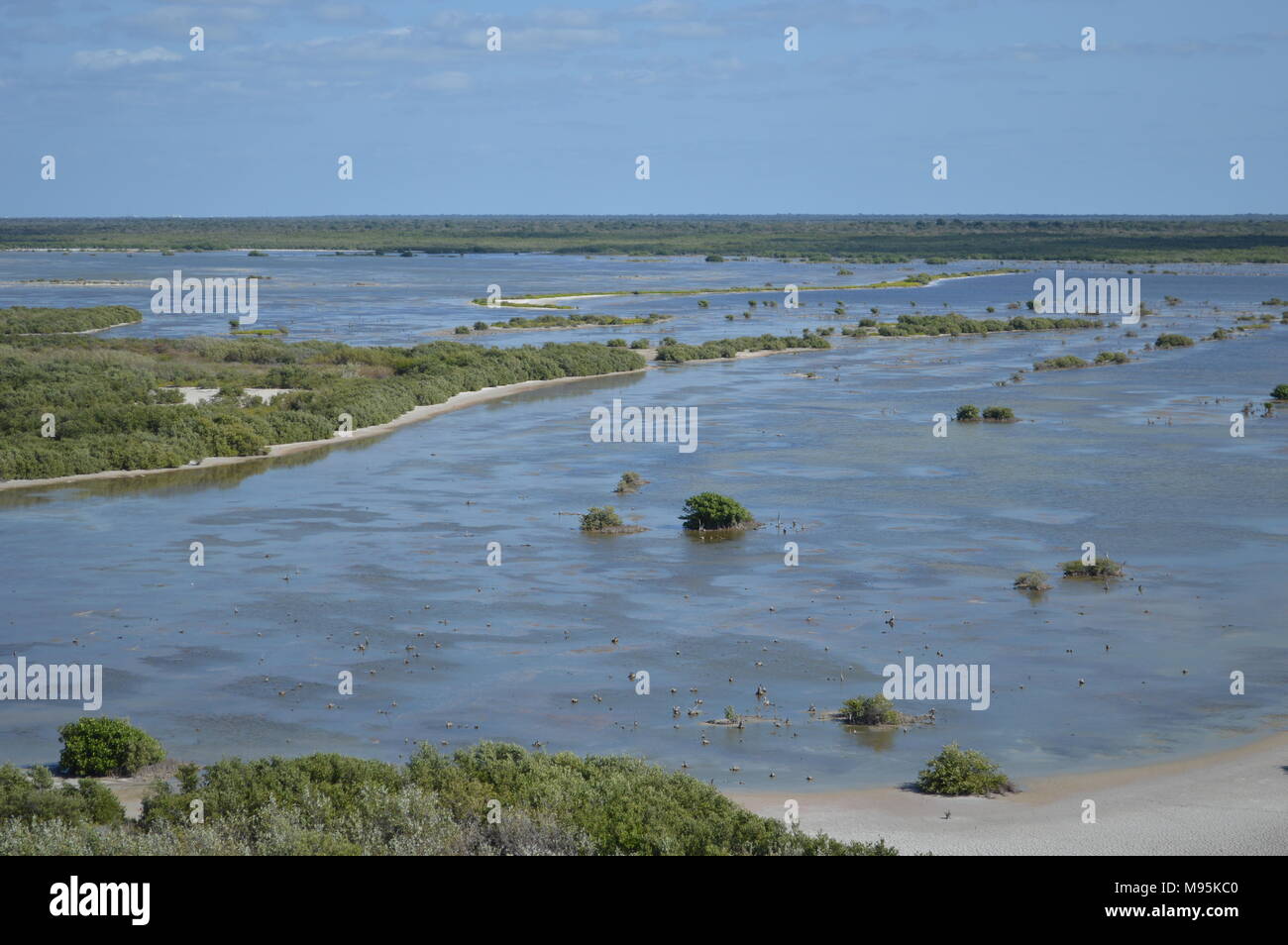 Eine Lagune im Punta Sur eco Park auf der Insel Cozumel, Mexiko Stockfoto