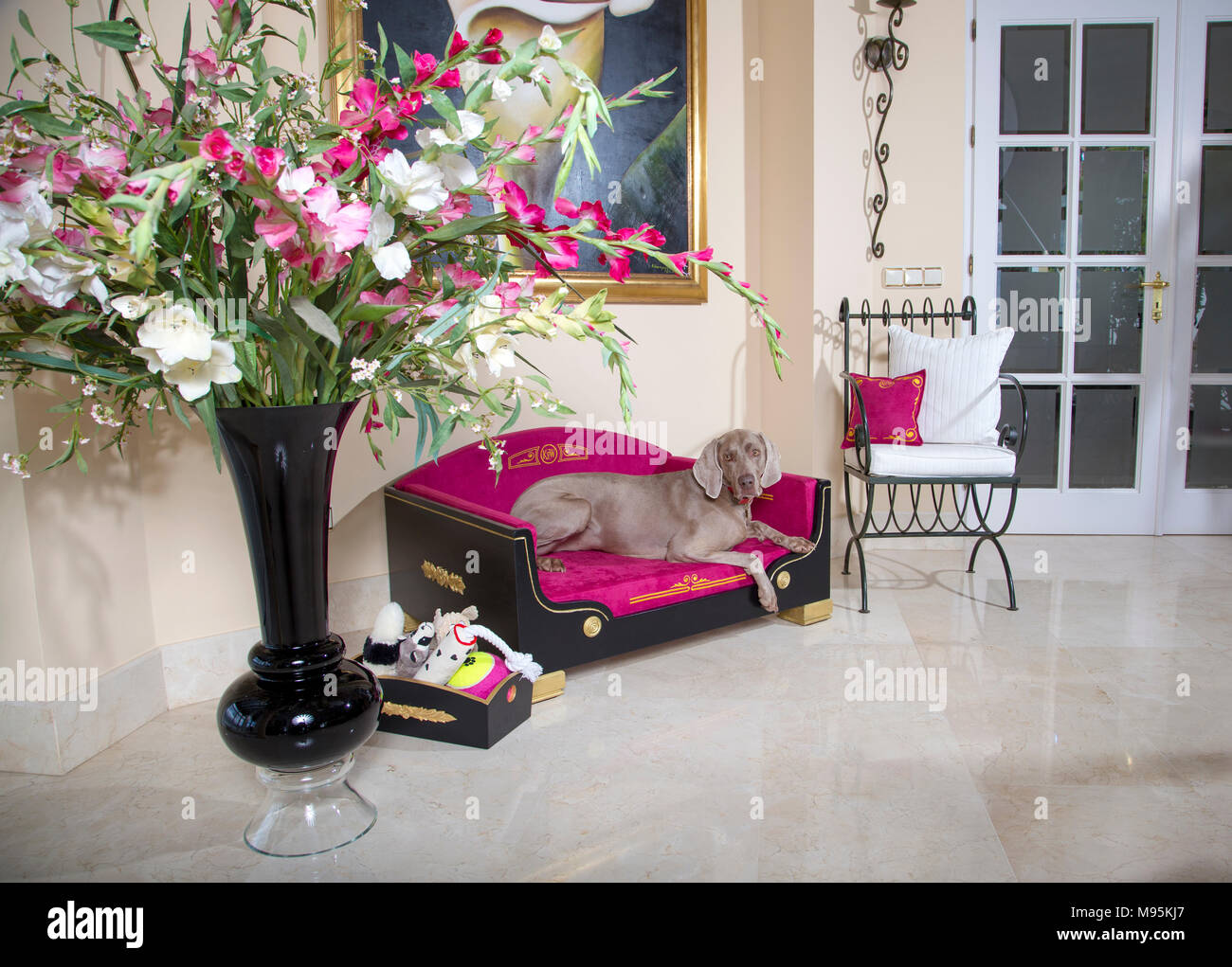 Home Einrichtung für Haustiere, exquisite pet-Betten Stockfoto