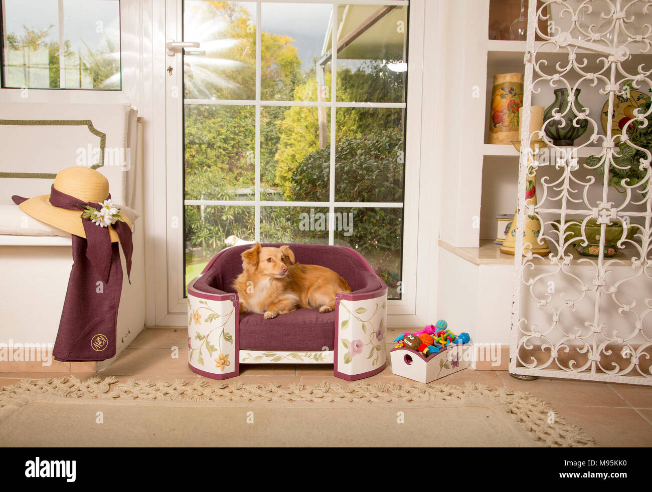 Home Einrichtung für Haustiere, exquisite pet-Betten Stockfoto