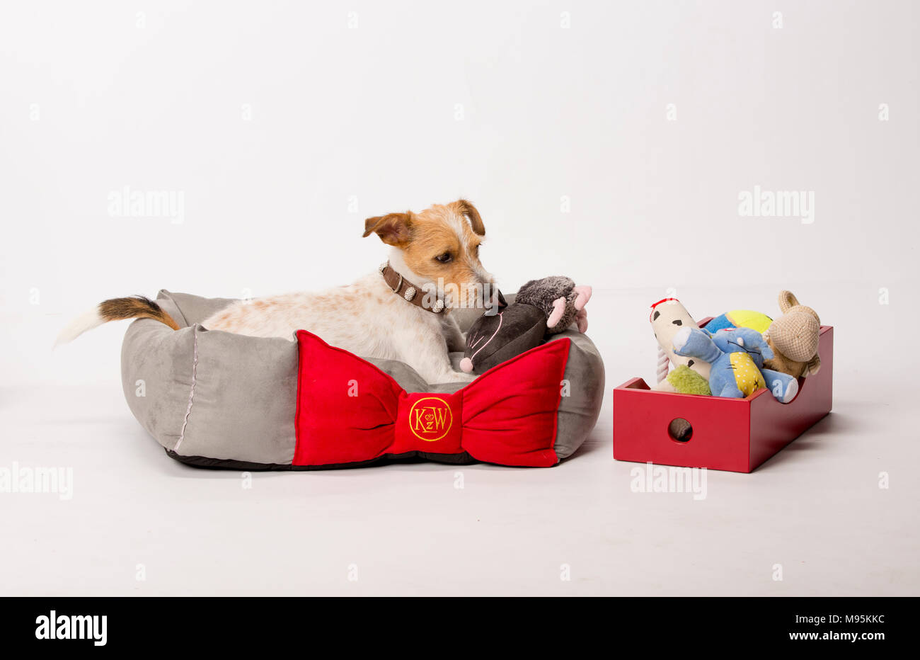 Home Einrichtung für Haustiere, exquisite pet-Betten Stockfoto