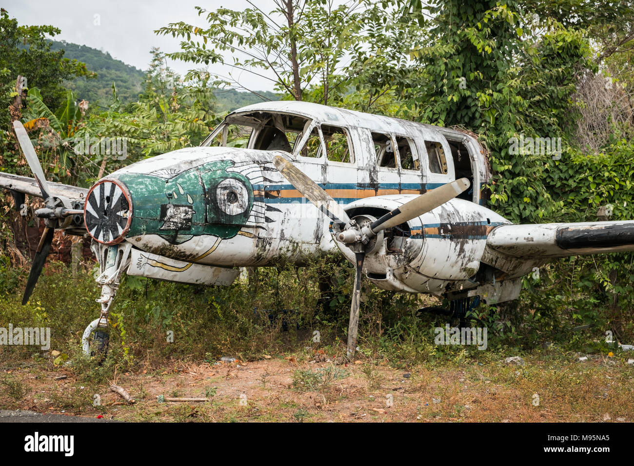 Flugzeugwrack im Dschungel - alte Propellermaschinen im Wald - Stockfoto